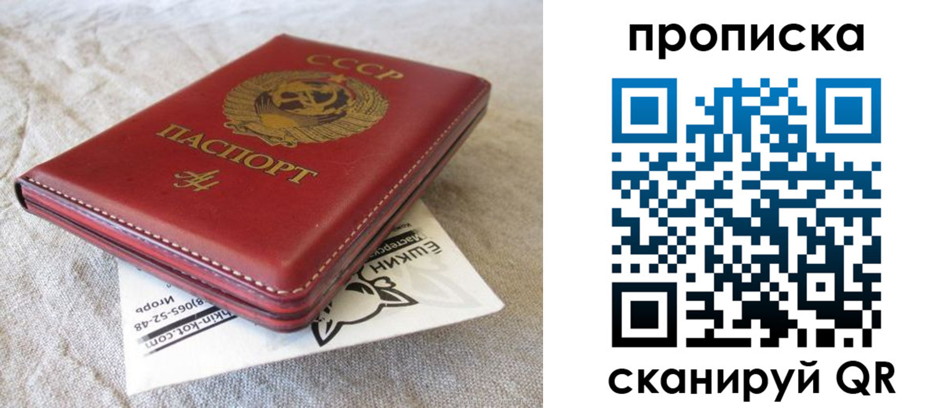прописка для школы в Чехове